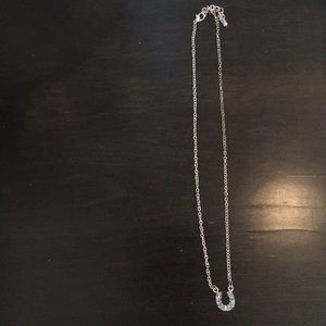 silver necklace with blue horseshoe
